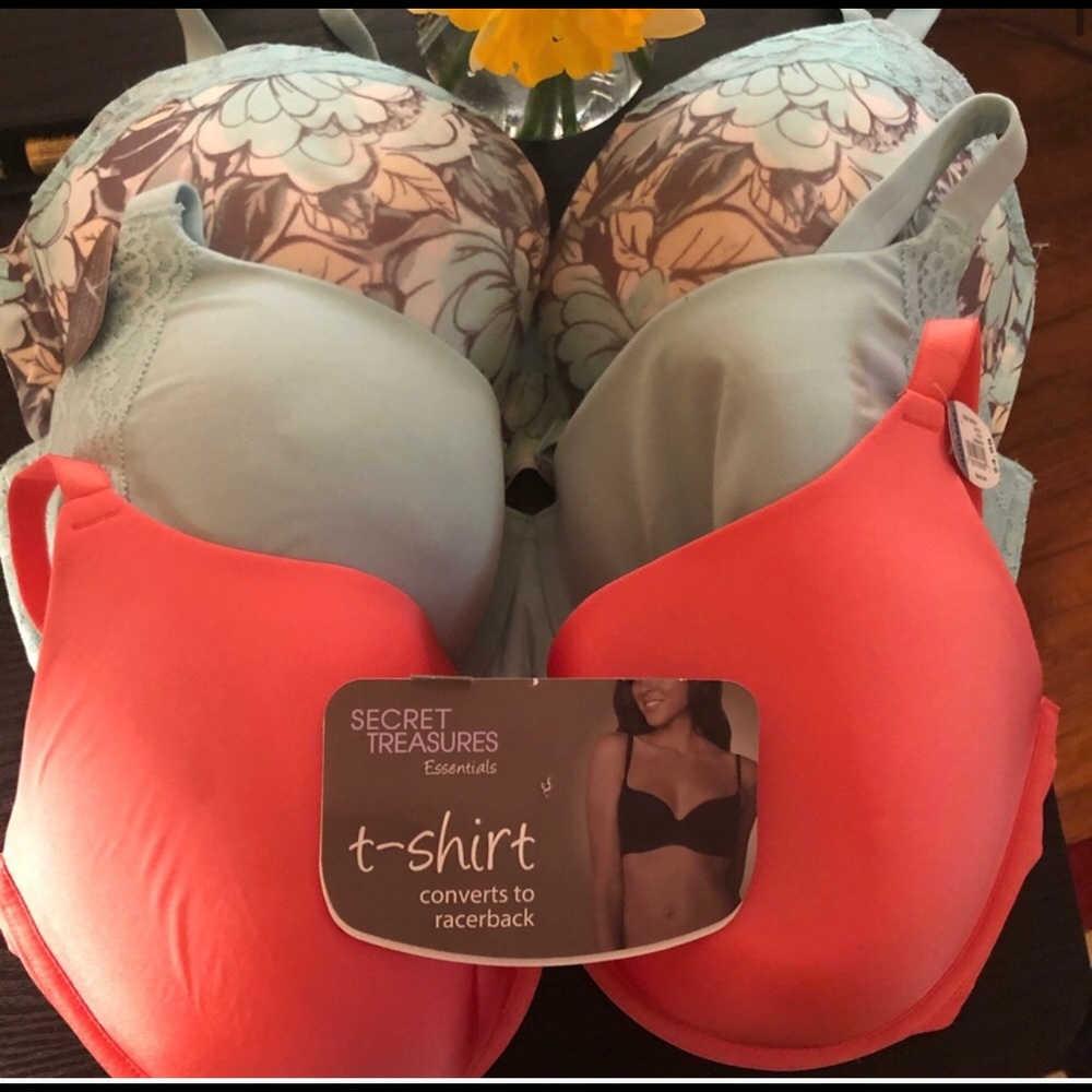 Secret Treasure Bras